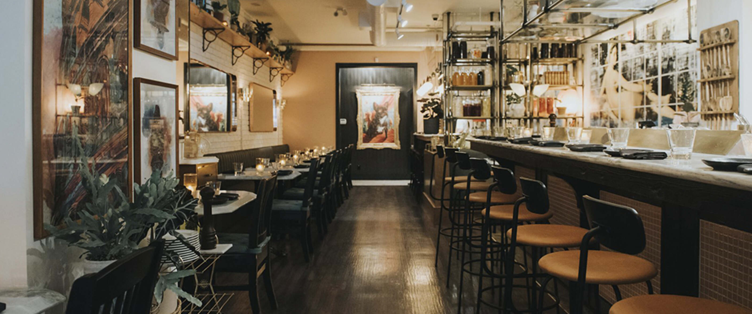 Bread Circus Hero Image 2